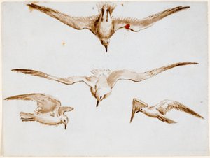 Seagulls by John Wilson Carmichael